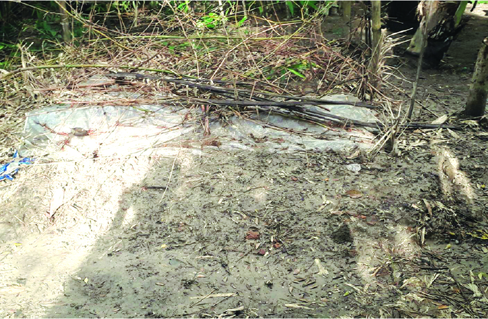 Image of বিপ্লব শেখ